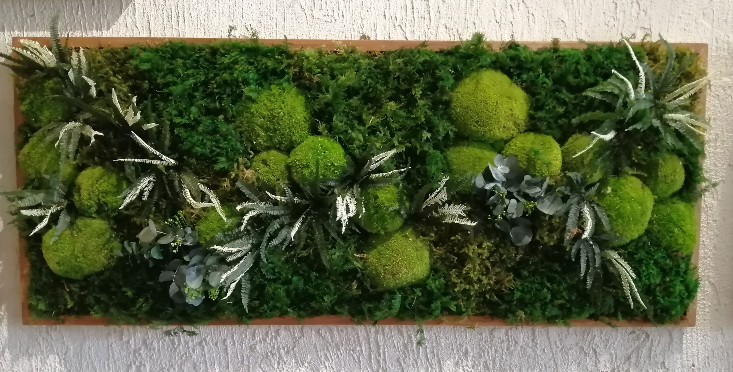 Quadro muschio fern