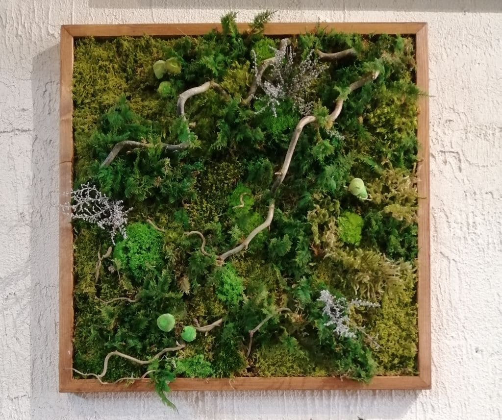 Quadro muschio stabilizzato e nocciolo