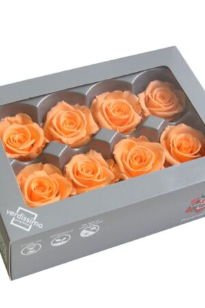 Box rosa media pesca