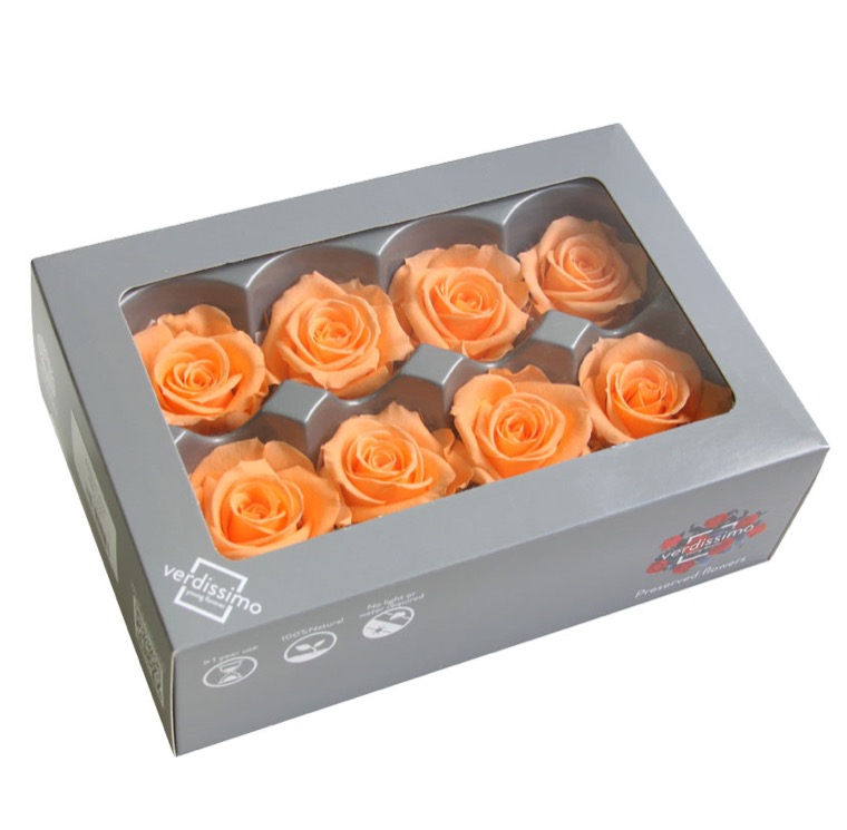Box rosa media pesca