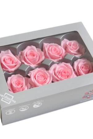 Box rosa media rosa pastello