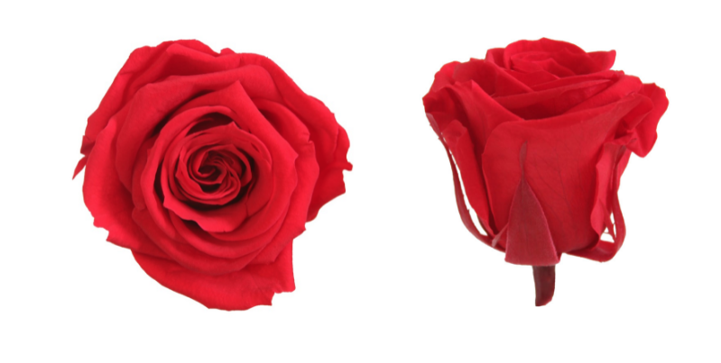 Box rosa media rossa - immagine 2