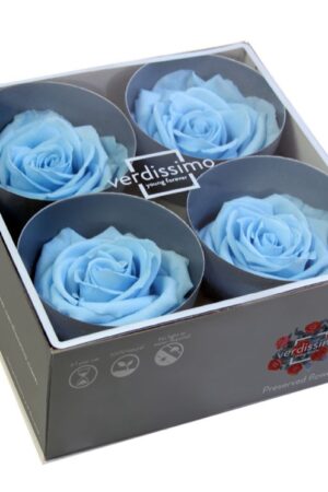 Box rose premium azzurre
