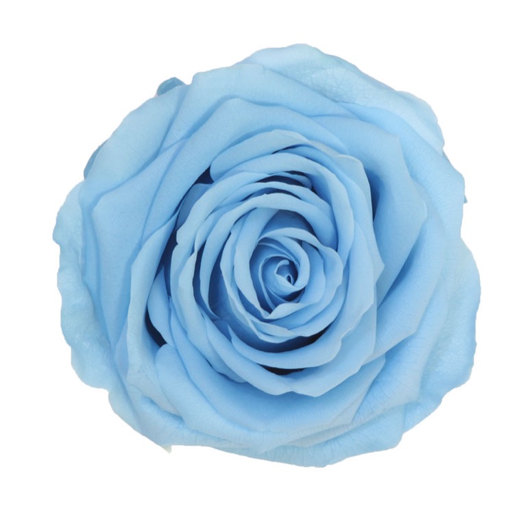Box rose premium azzurre - immagine 2