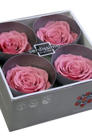 Box rose premium ciliegia