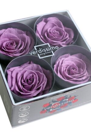 Box rose premium lilla