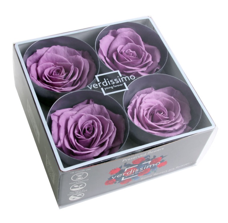 Box rose premium lilla