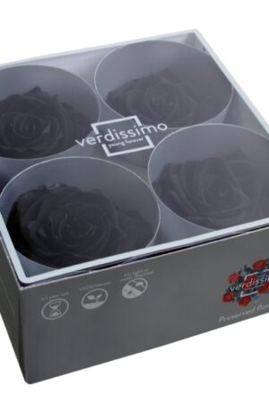 Box rose premium nere