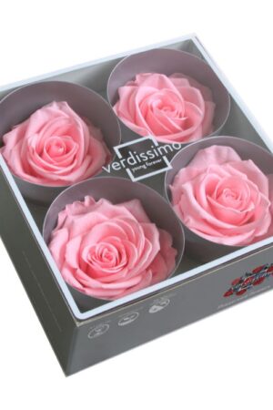 Box rose premium rosa pastello