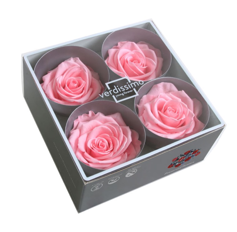 Box rose premium rosa pastello