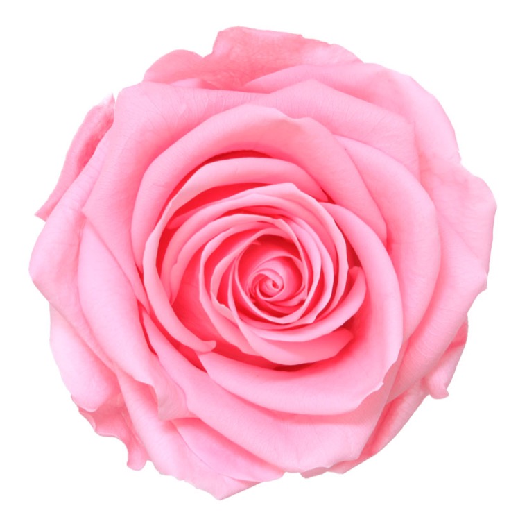 Box rose premium rosa pastello - immagine 2