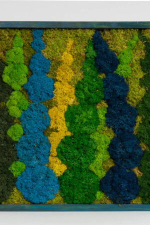 Quadro Alghe colorate di lichene