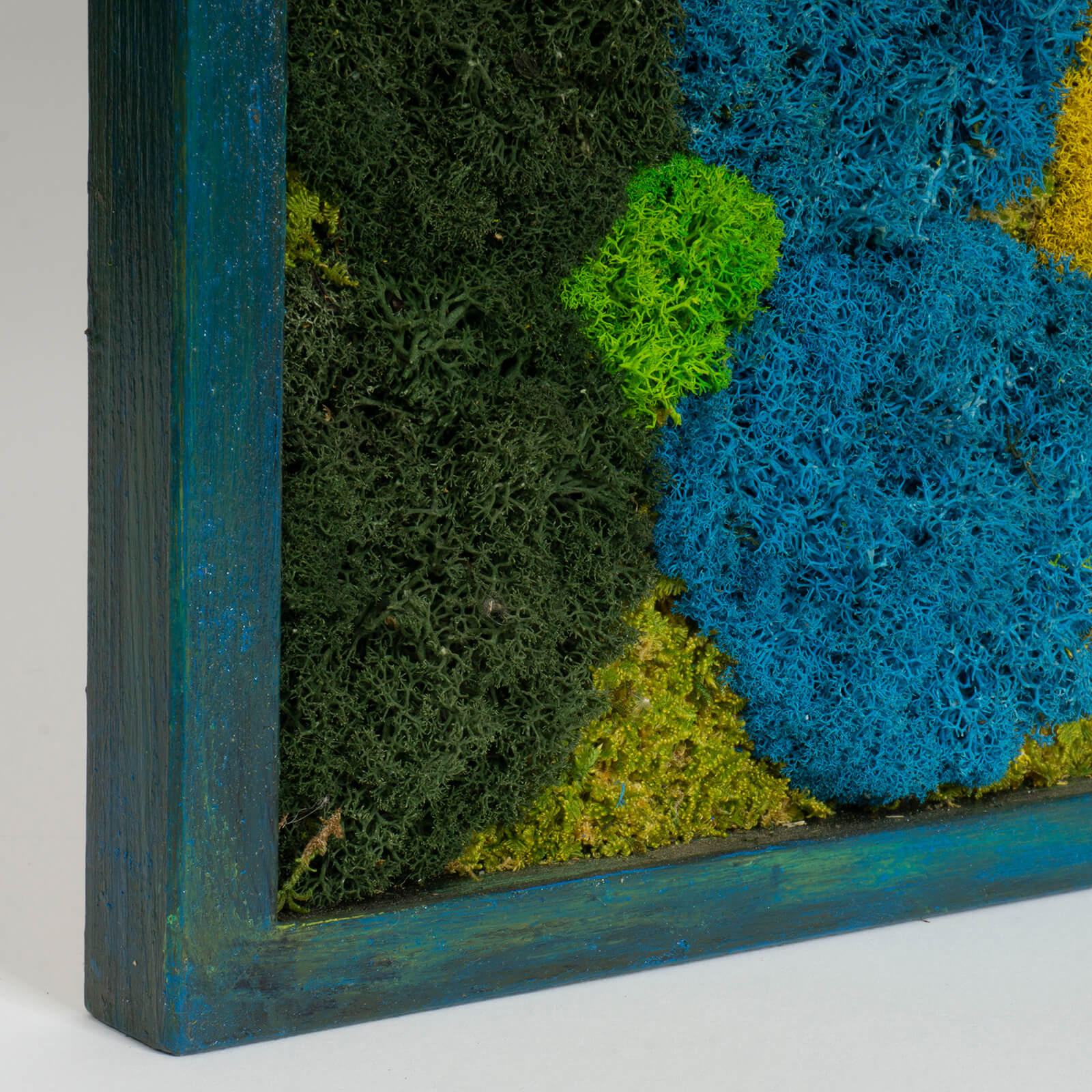 Quadro Alghe colorate di lichene - immagine 3