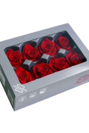 Box rosa media rossa