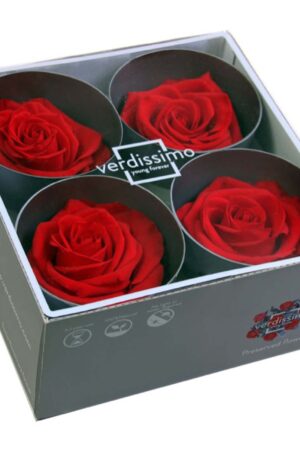 Box rosa premium rossa