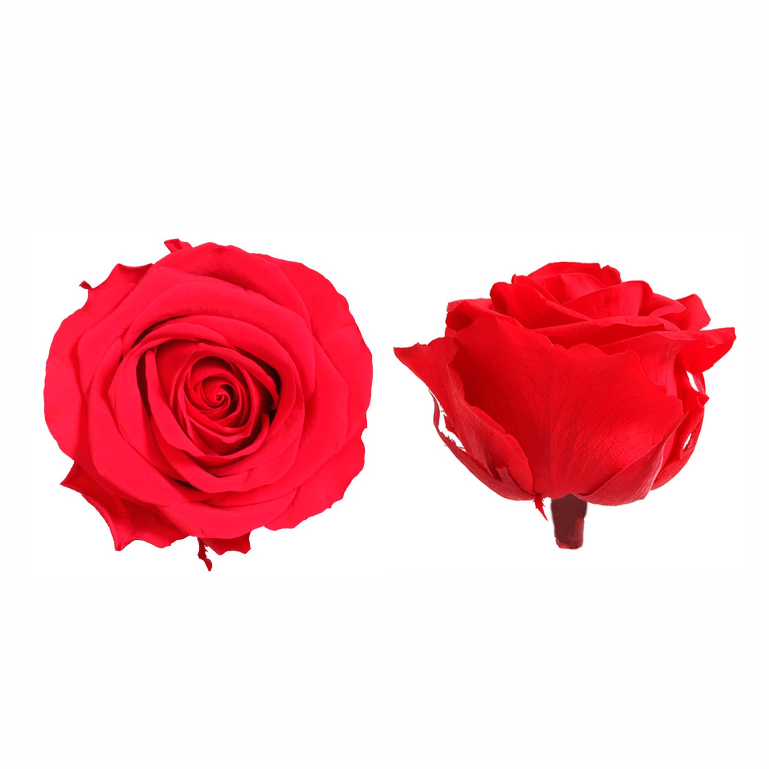 Box rosa premium rossa - immagine 2