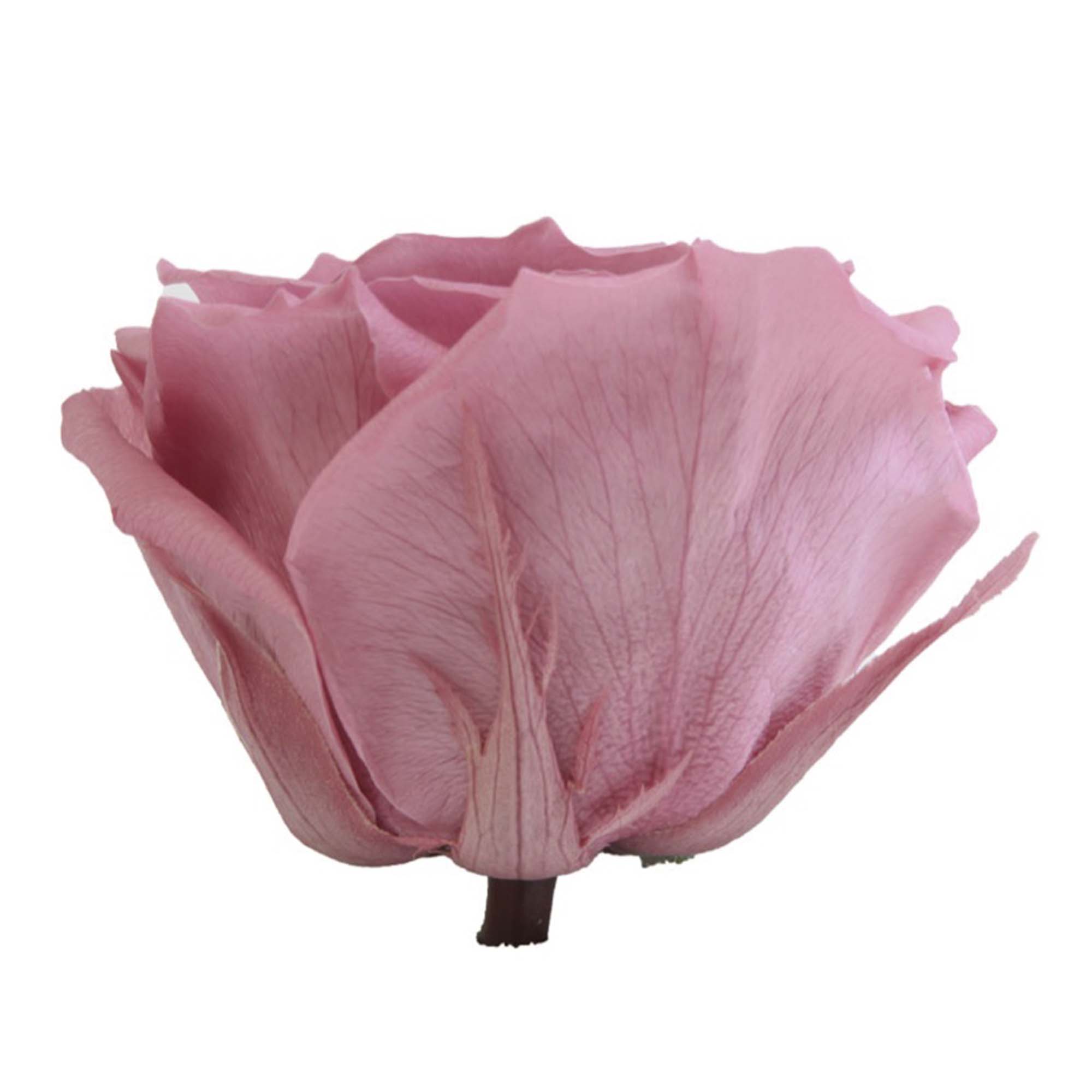 Box rose premium ciliegia - immagine 3