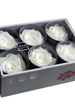 Box rosa standard bianca