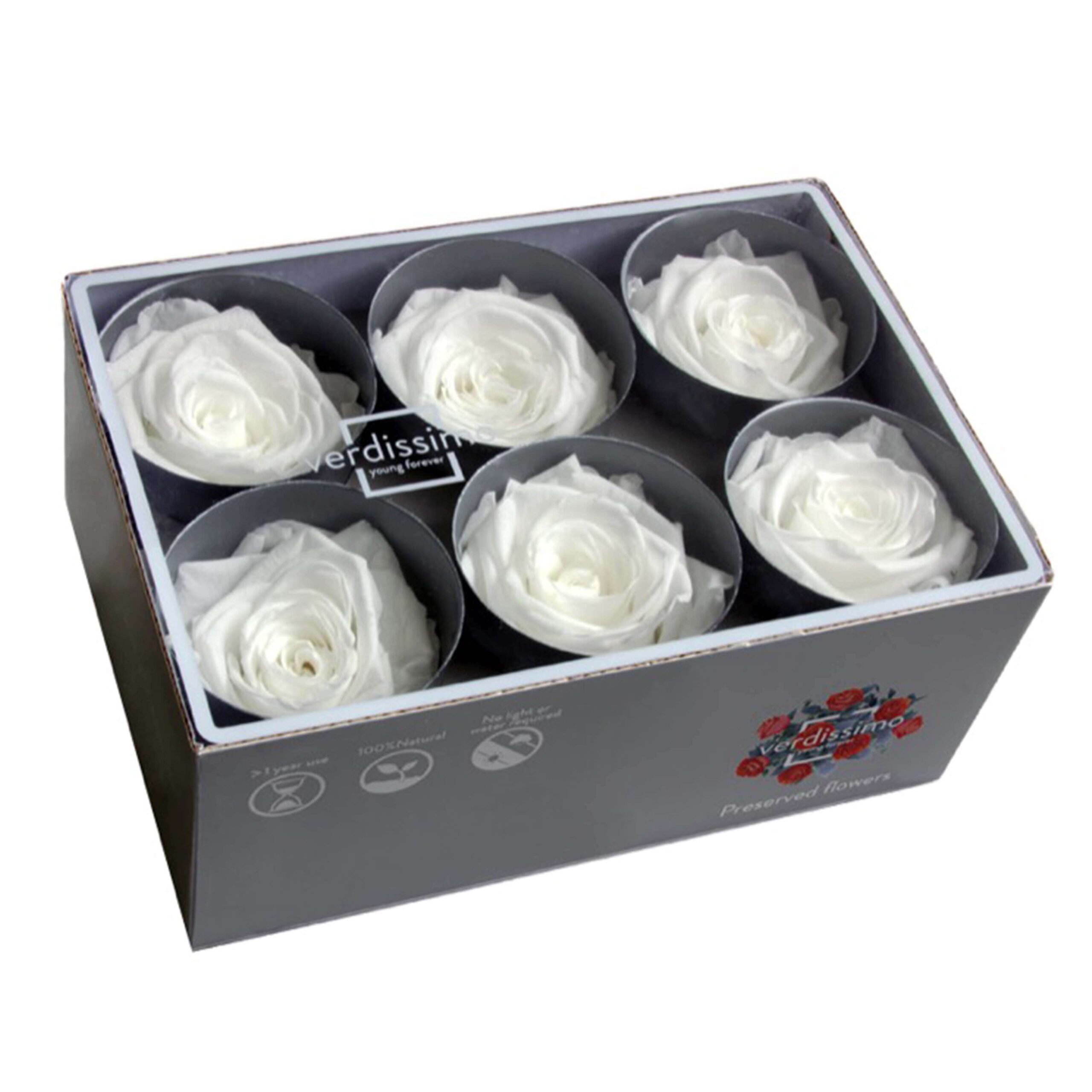 Box rosa standard bianca