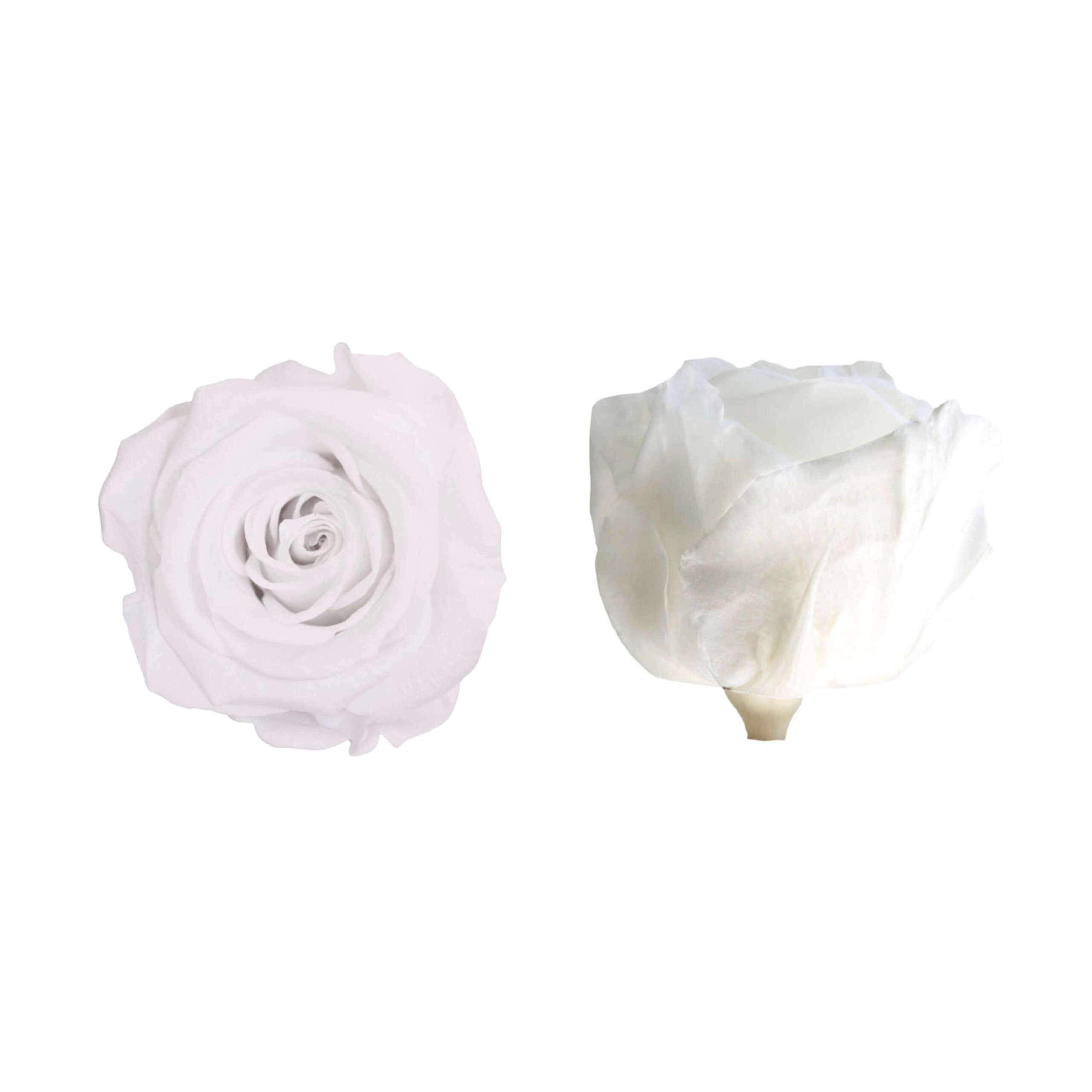 Box rosa standard bianca - immagine 2