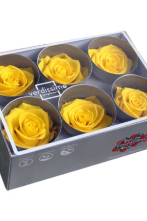 Box rosa standard giallo brillante