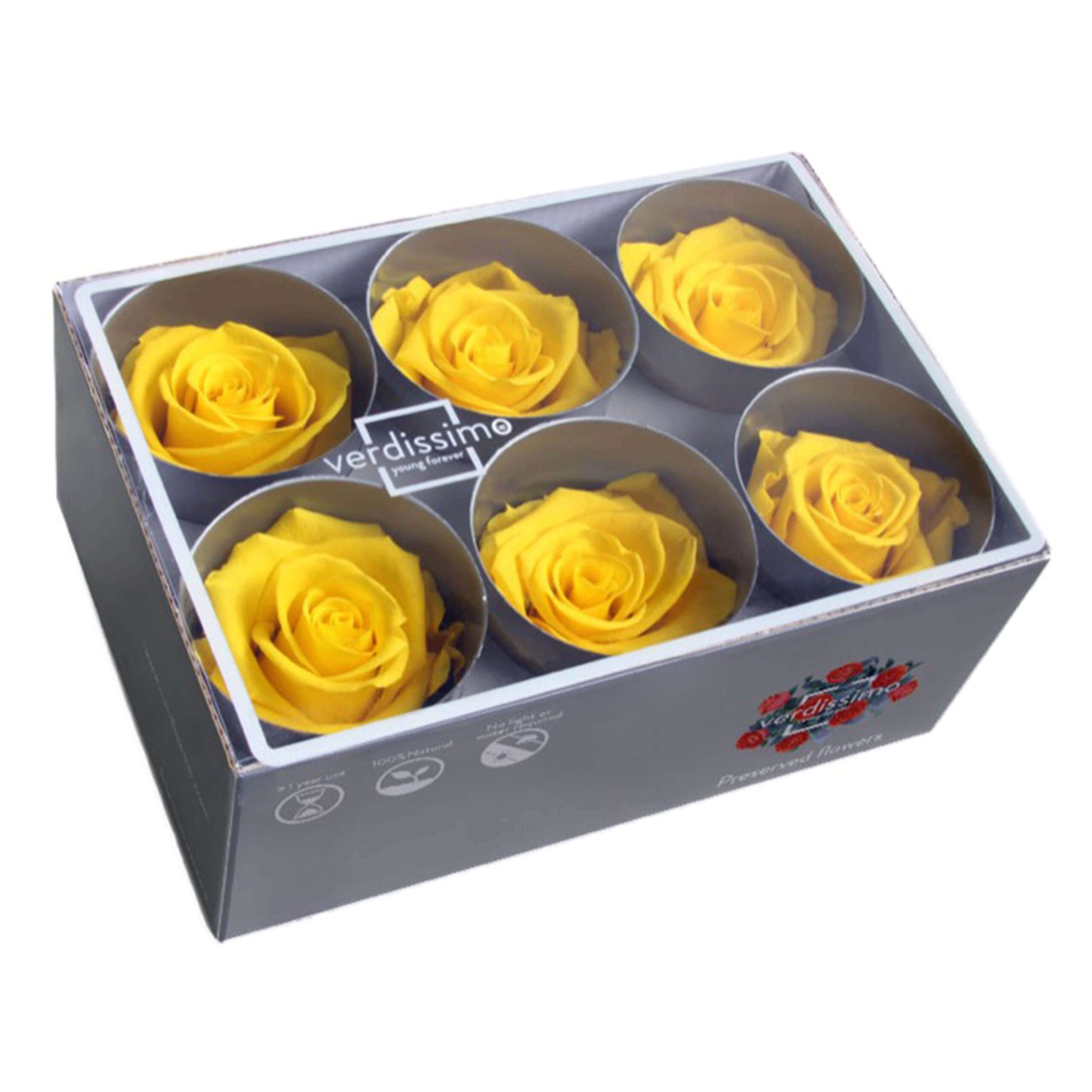 Box rosa standard giallo brillante