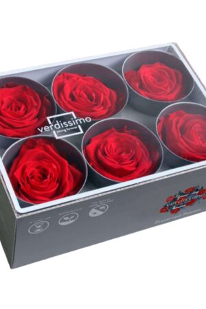 Box rosa standard rossa