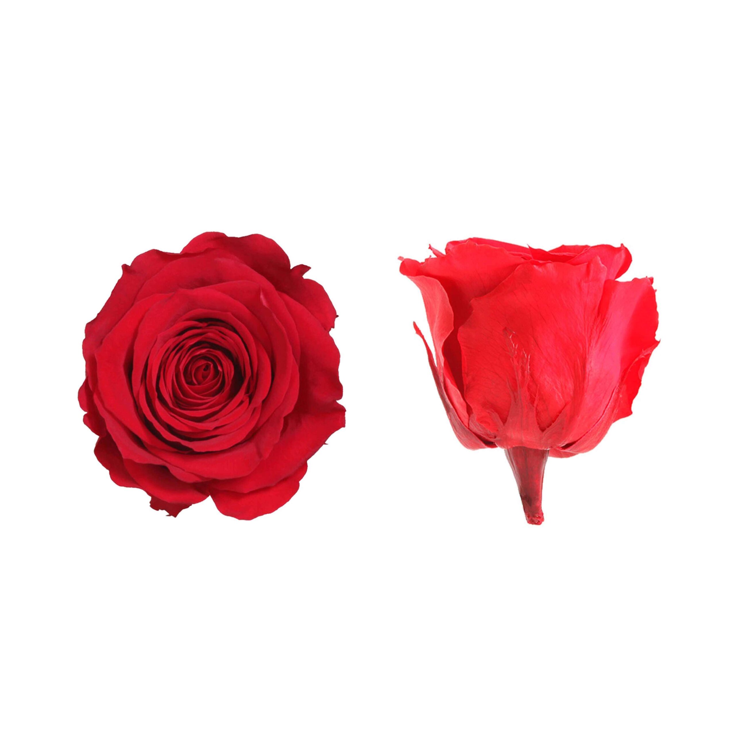 Box rosa standard rossa - immagine 2