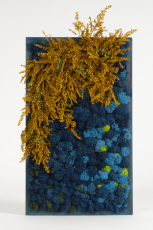Quadro Cascata di fiori e lichene