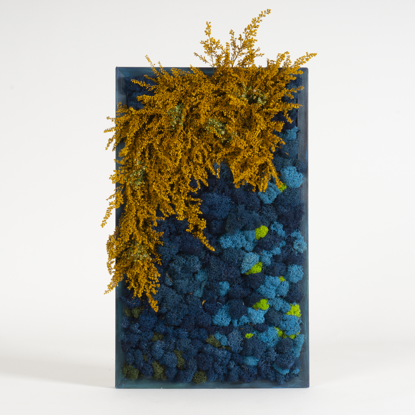 Quadro Cascata di fiori e lichene