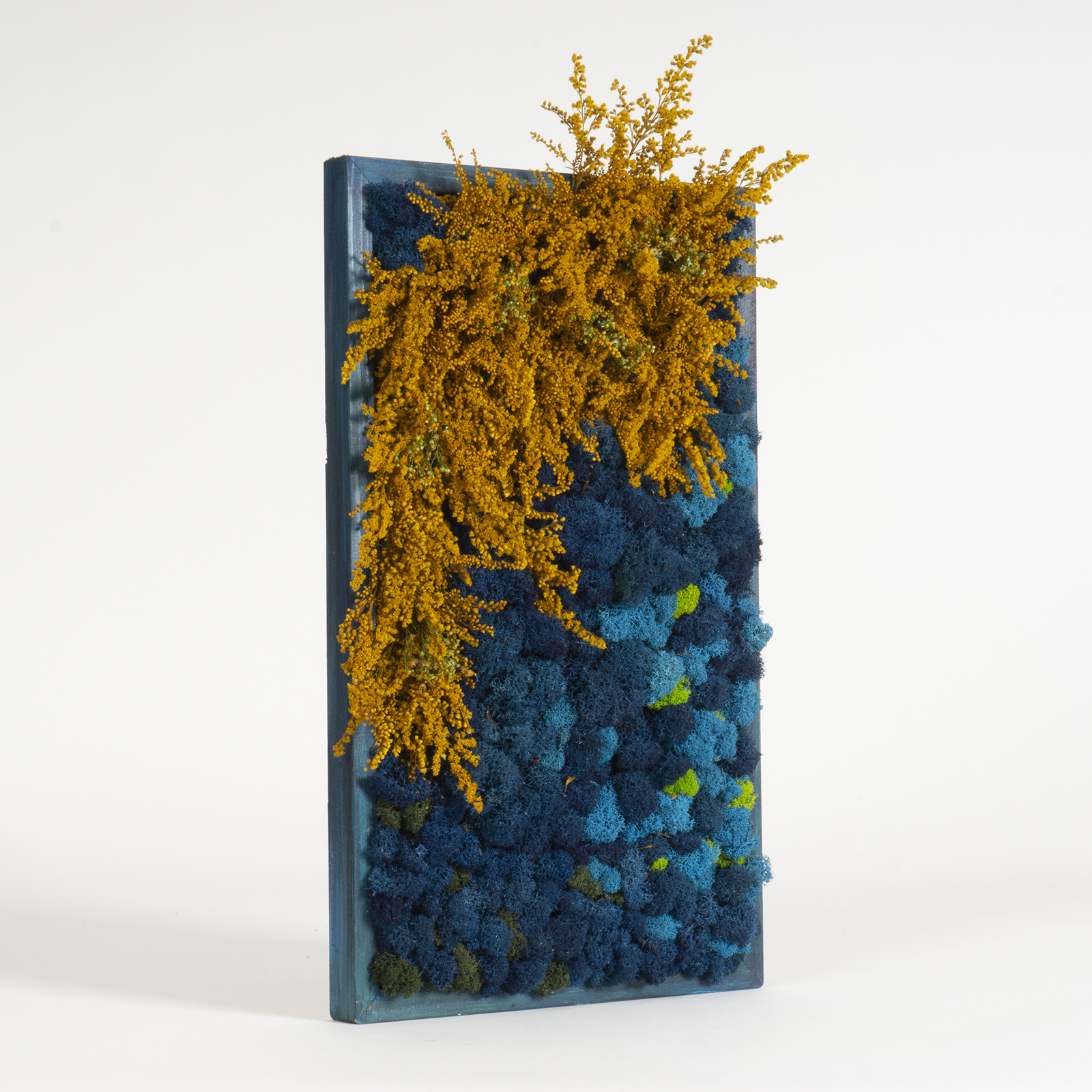Quadro Cascata di fiori e lichene - immagine 2