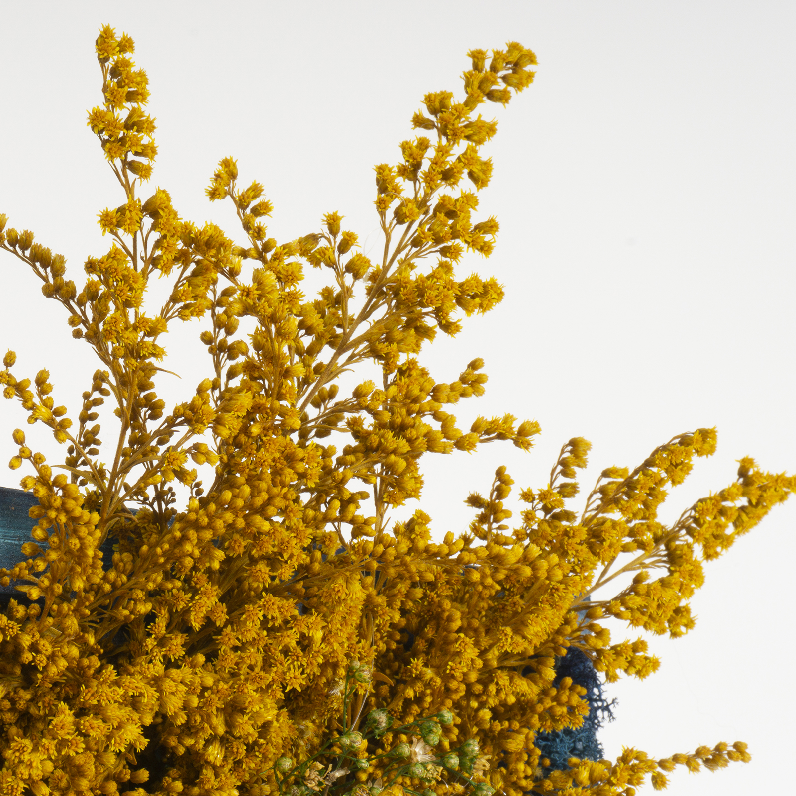 Quadro Cascata di fiori e lichene - immagine 4