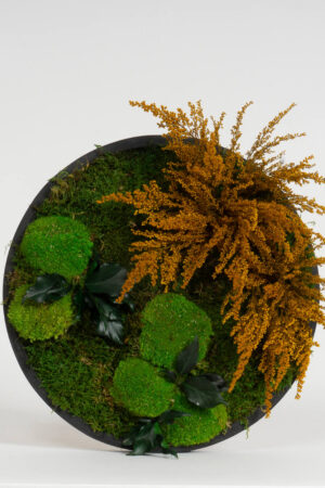 Cerchio Muschio e Solidago