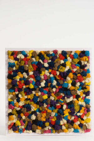 Quadro Coriandoli di lichene stabilizzato
