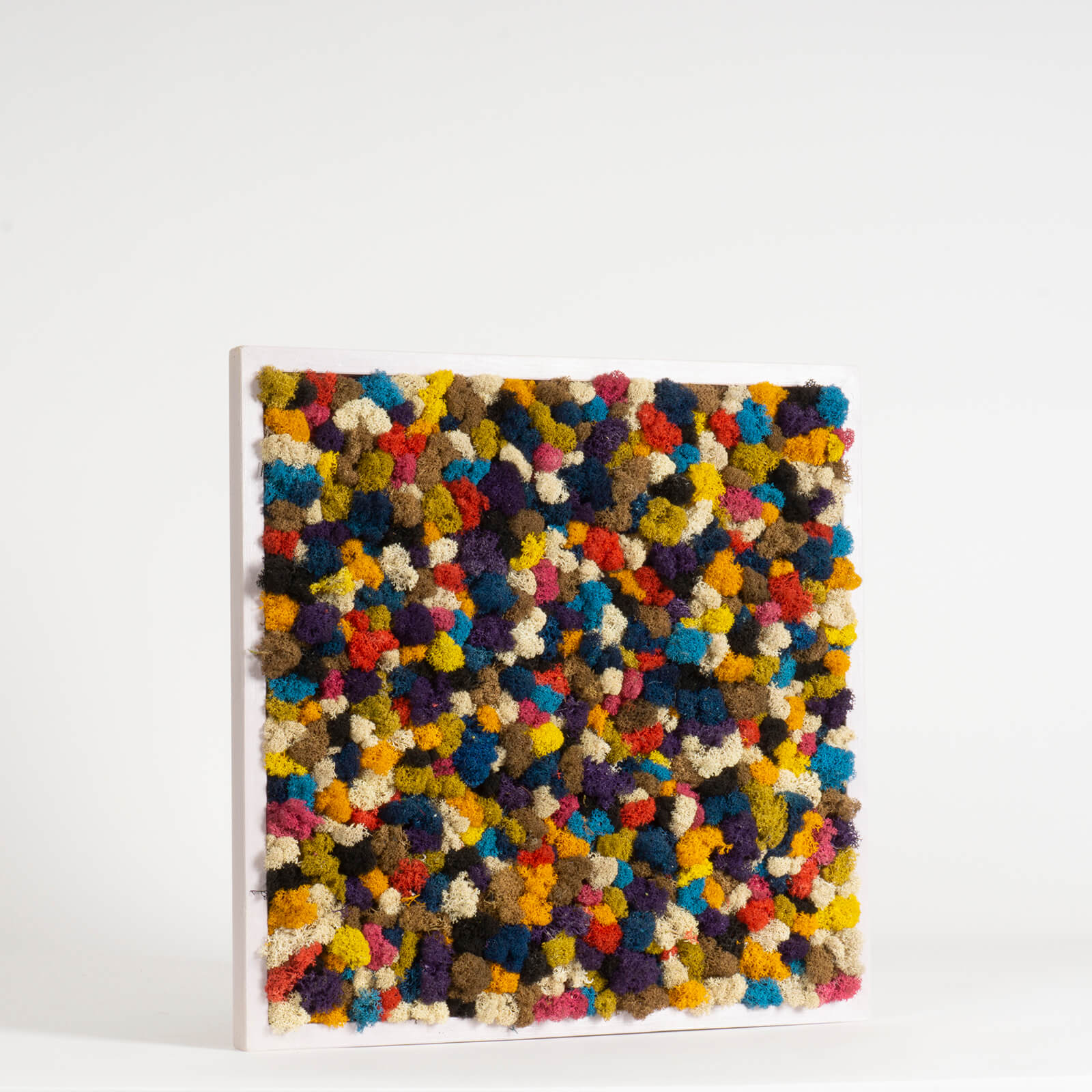 Quadro Coriandoli di lichene stabilizzato - immagine 2