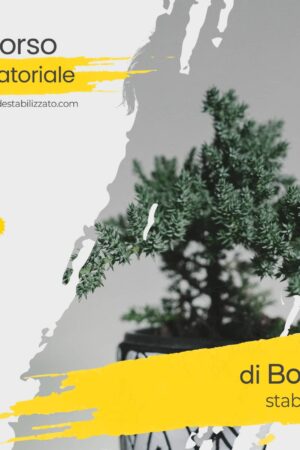 Corso Amatoriale Bonsai stabilizzato