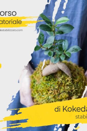 Corso Amatoriale Kokedama
