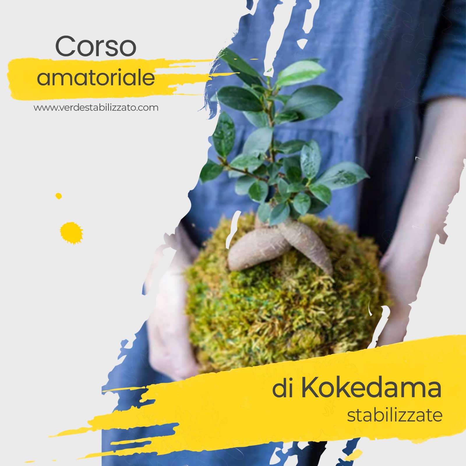 Corso Amatoriale Kokedama