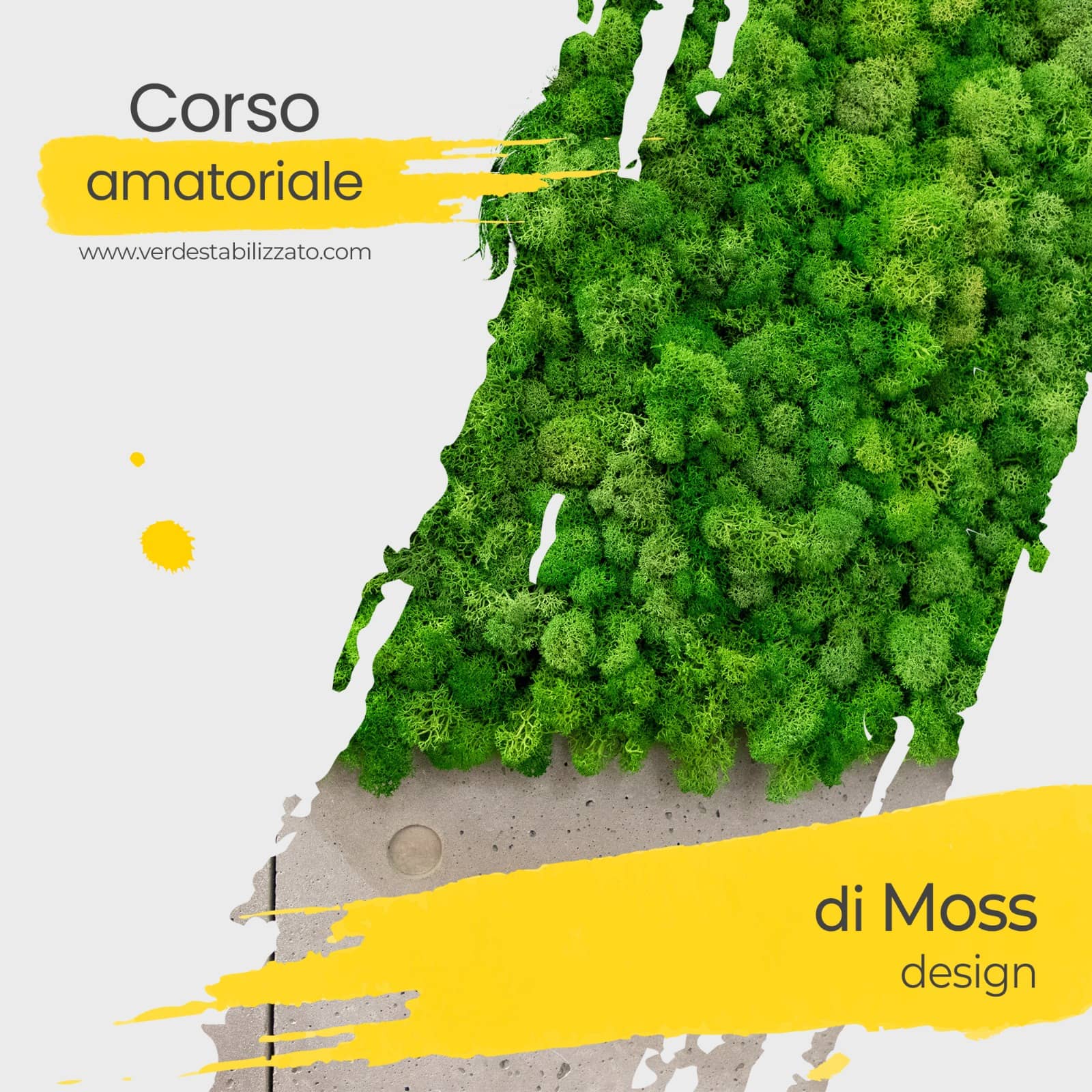 Corso Amatoriale Moss Design