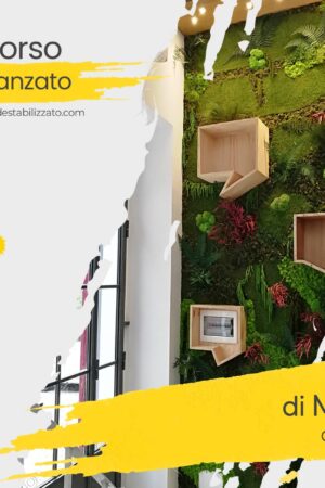 Corso Avanzato Moss Design