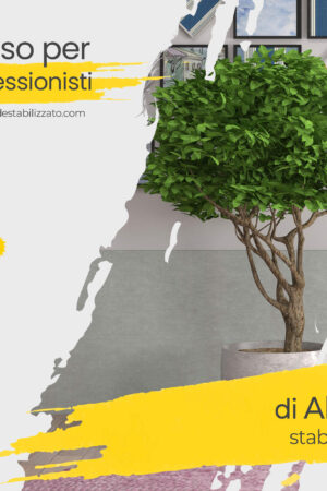 Corso Professionale per Alberi stabilizzati