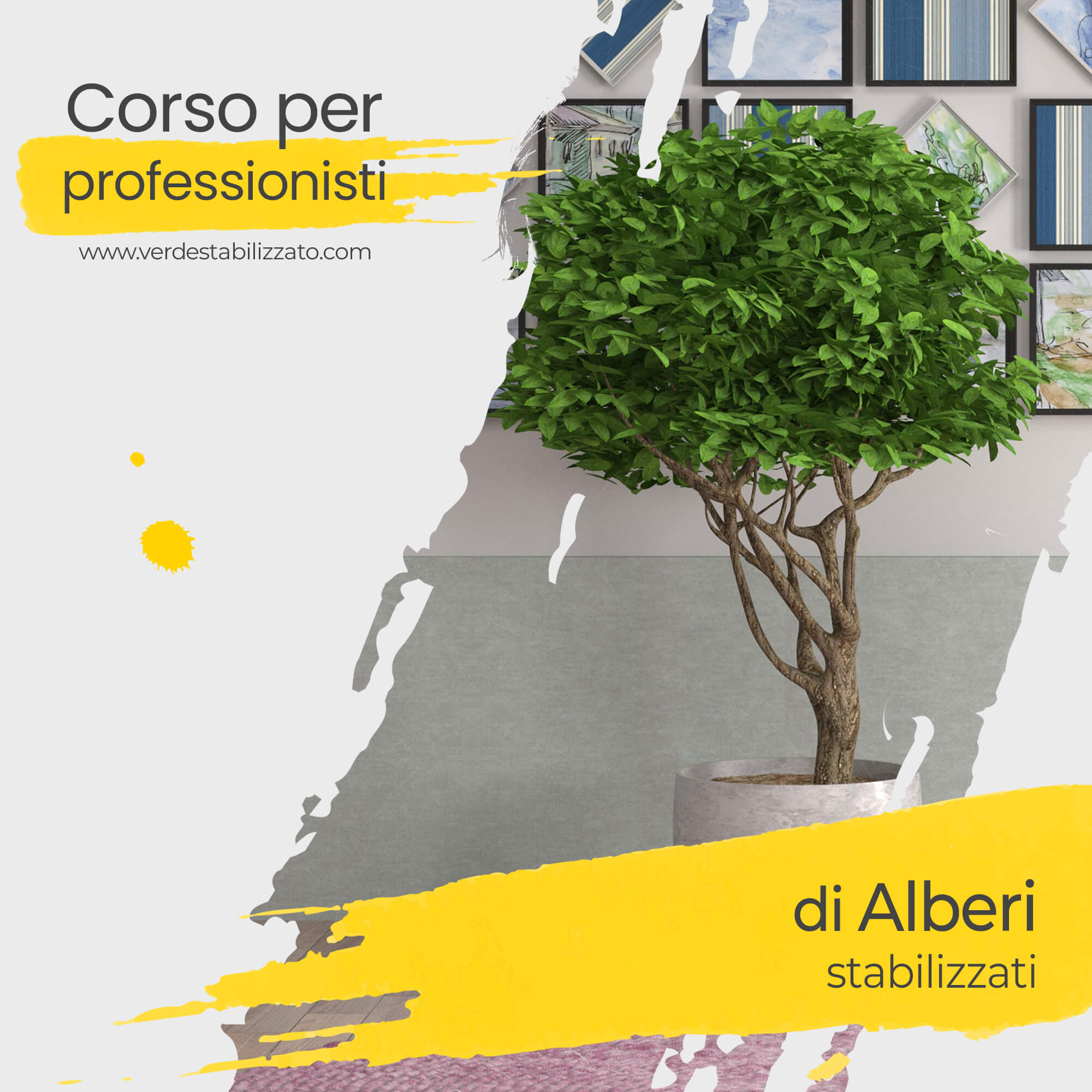 Corso Professionale per Alberi stabilizzati