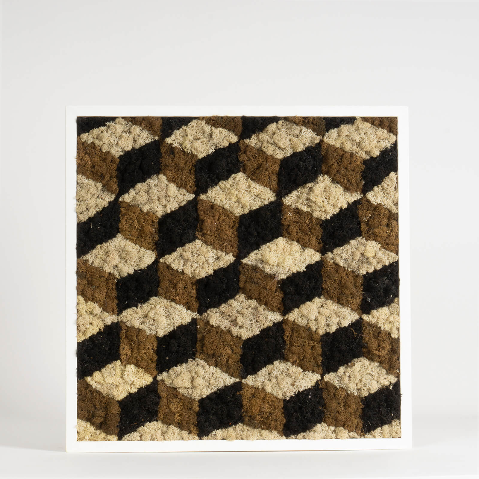 Quadro Cubi di lichene stabilizzato