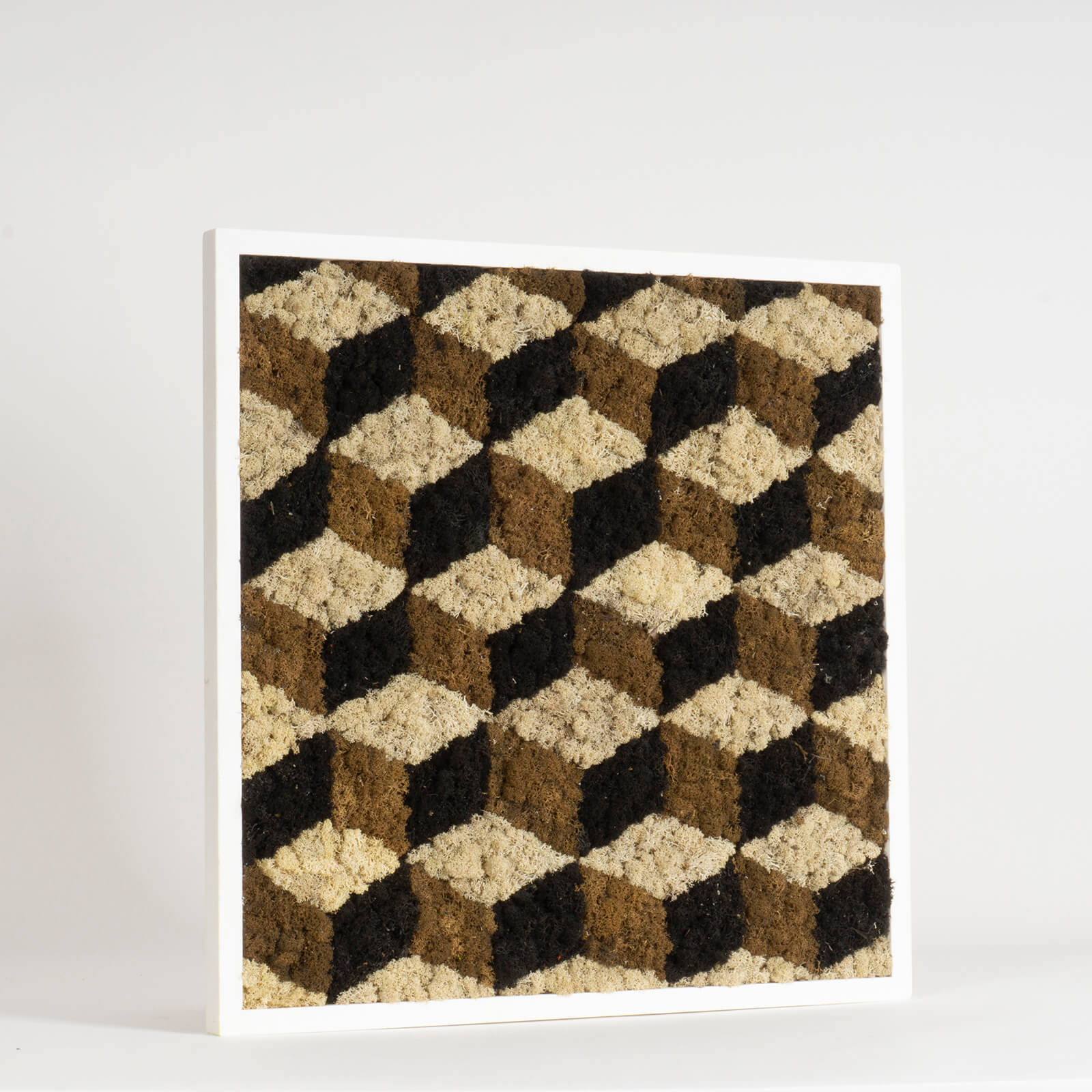 Quadro Cubi di lichene stabilizzato - immagine 2