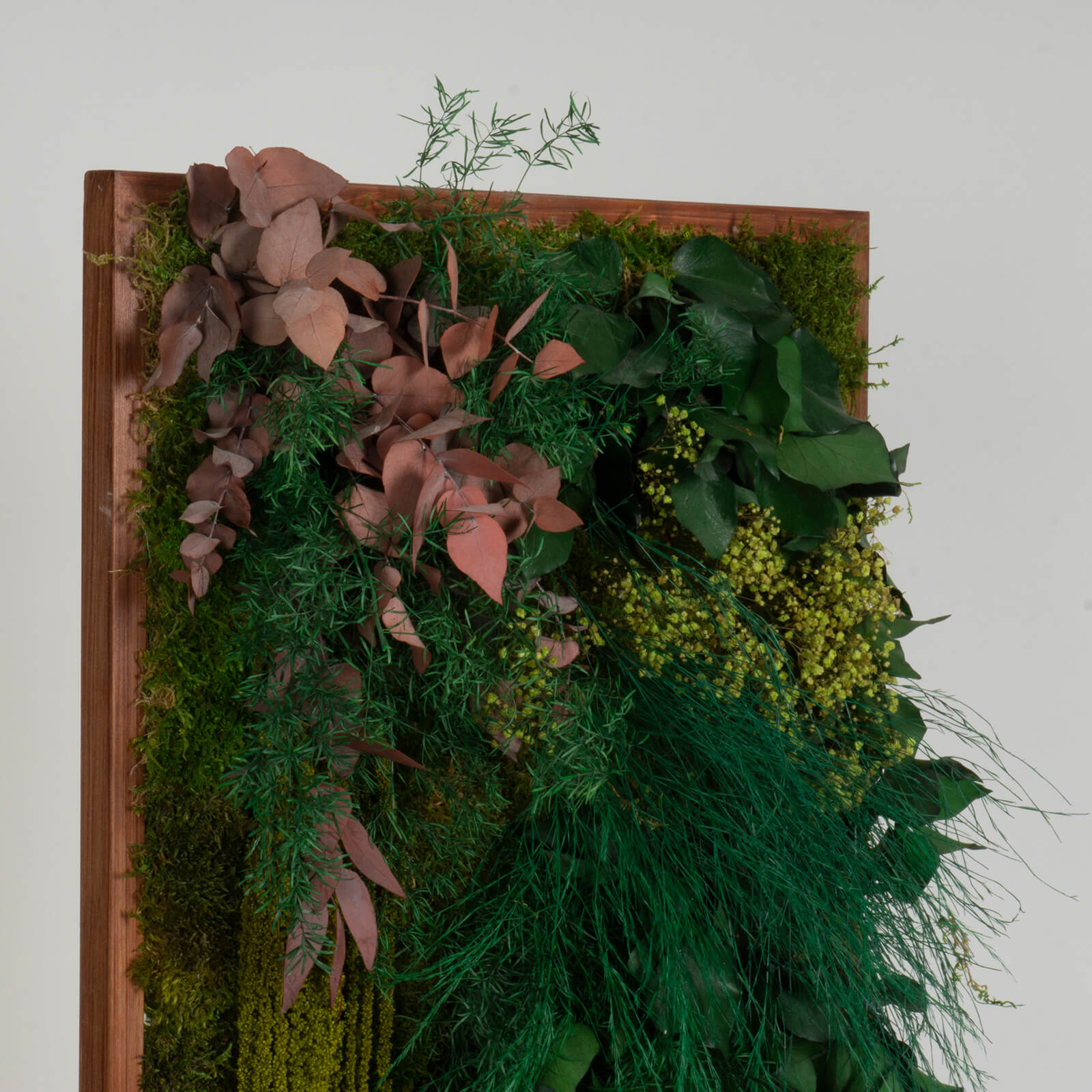 Foresta in primavera - immagine 6