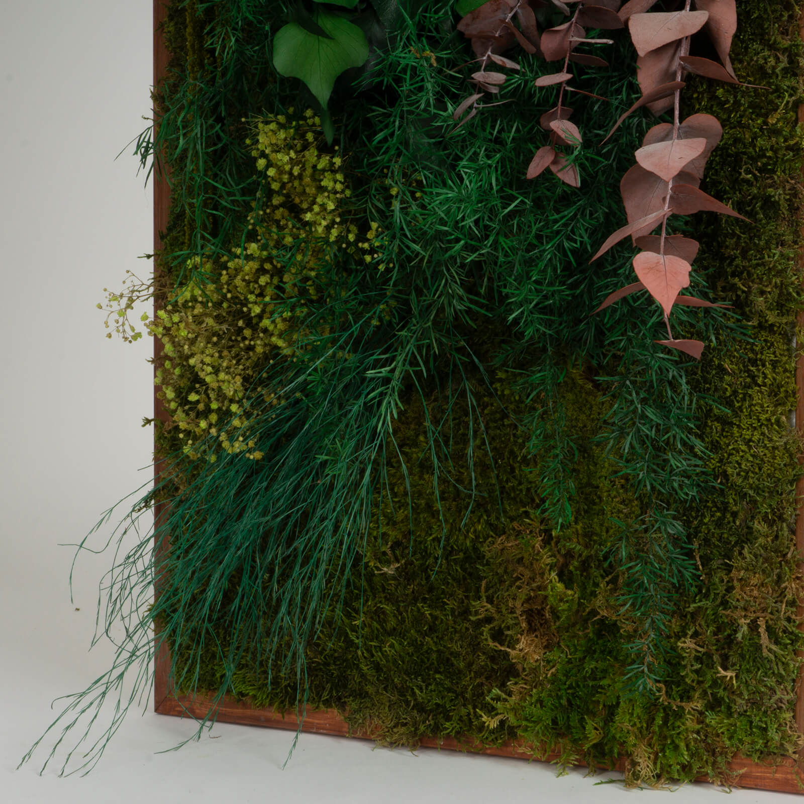 Foresta in primavera - immagine 7