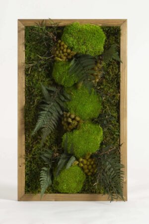Mini foresta stabilizzata