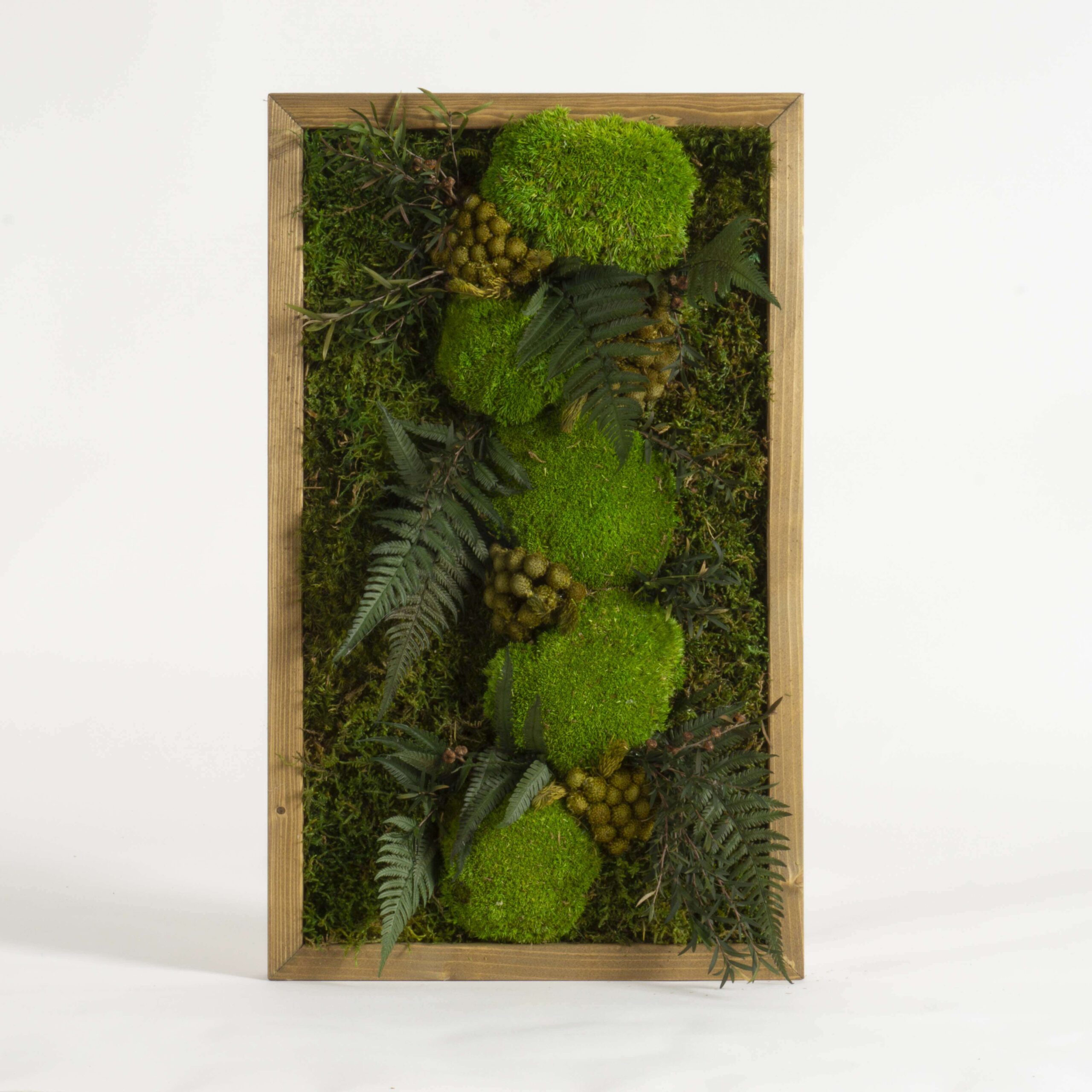 Mini foresta stabilizzata
