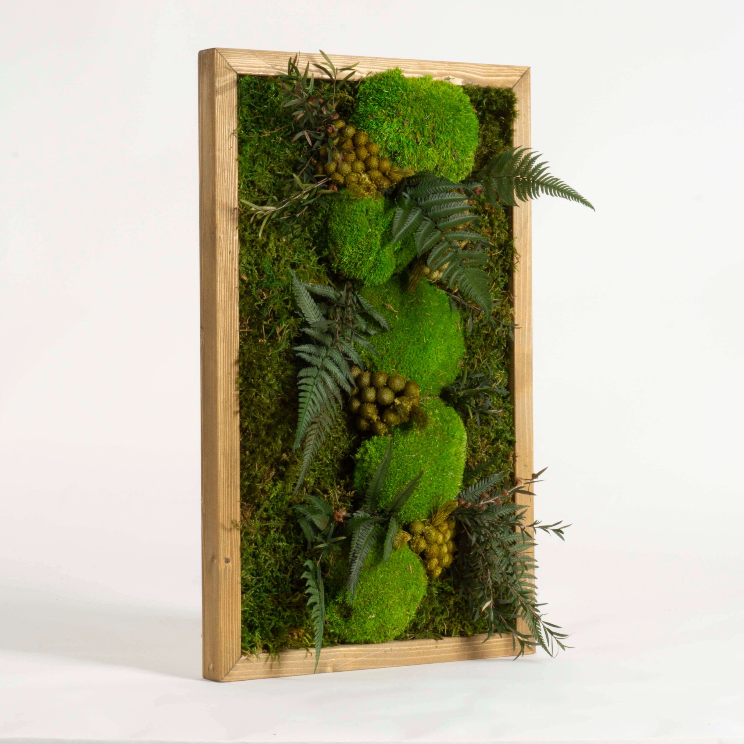 Mini foresta stabilizzata - immagine 2