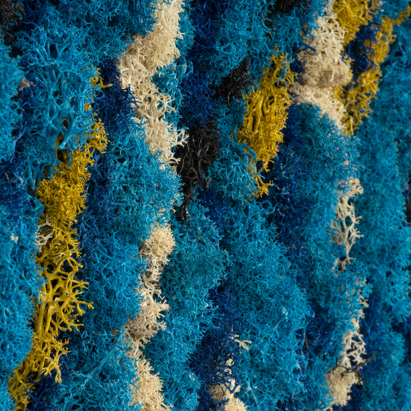 Oceano astratto di lichene stabilizzato - immagine 3
